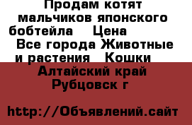 Продам котят мальчиков японского бобтейла. › Цена ­ 30 000 - Все города Животные и растения » Кошки   . Алтайский край,Рубцовск г.